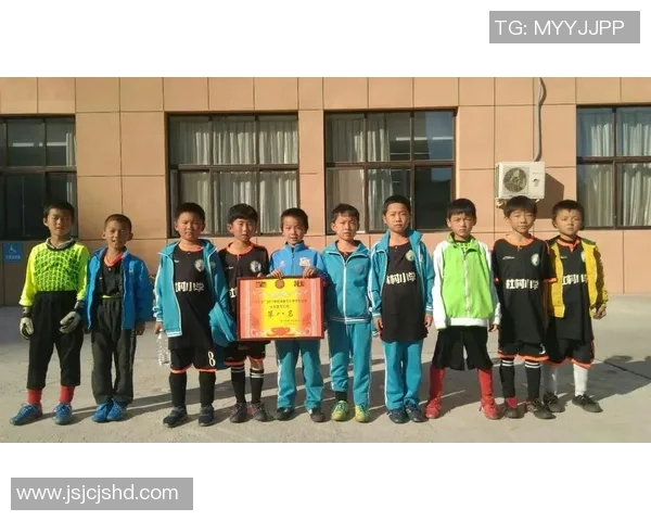 天津刘姓足球明星的崛起与成就探讨