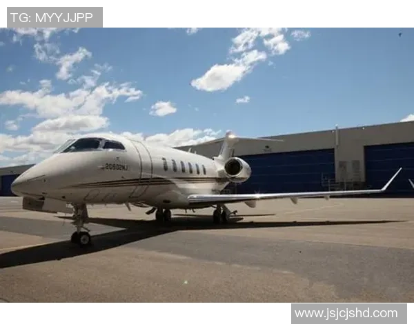 足球明星私人飞机失事引发全球关注安全隐患再度被提上日程