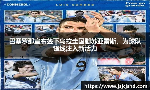 BB贝博登录入口