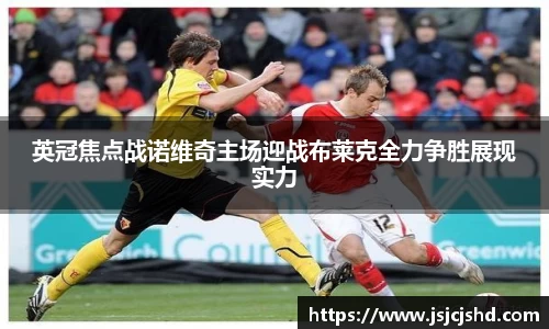 BB贝博登录入口