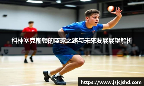 BB贝博登录入口